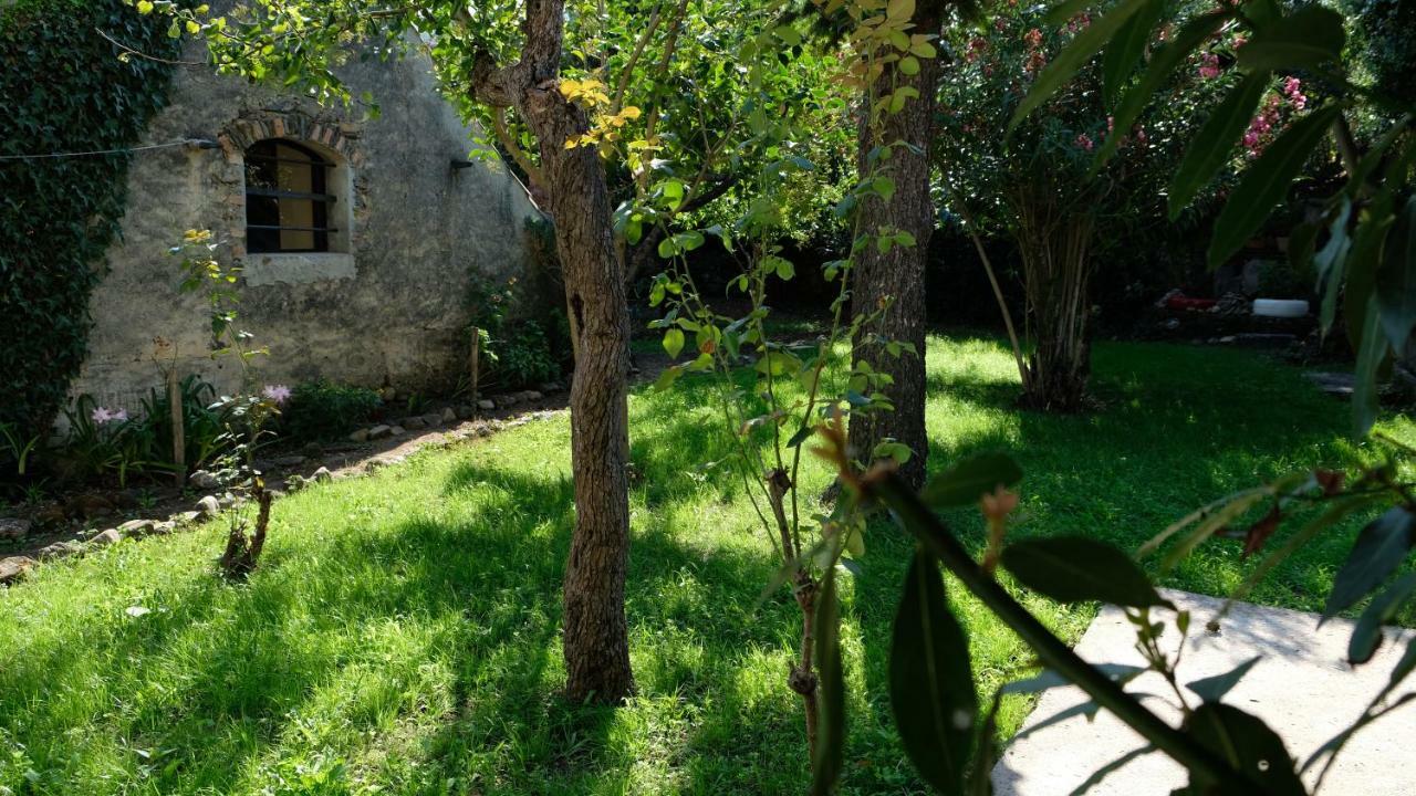 Casa Do Sr. Falcao Miranda do Corvo Exterior foto